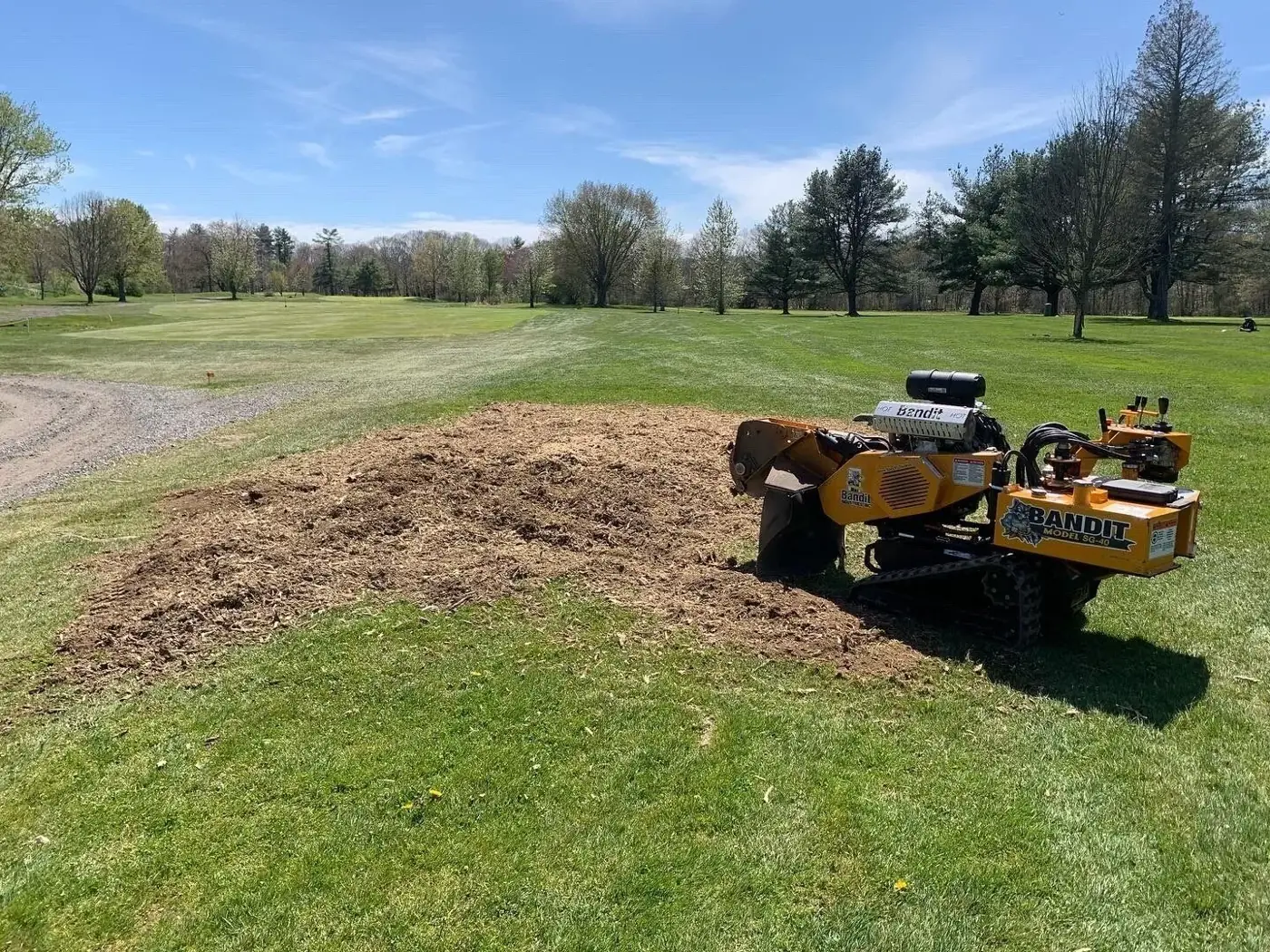 Open lawn after stump grinding with Apex equipment beside the cleared area