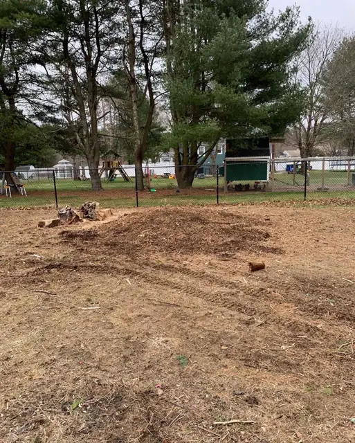 Sloping property after the stump and surface roots were ground