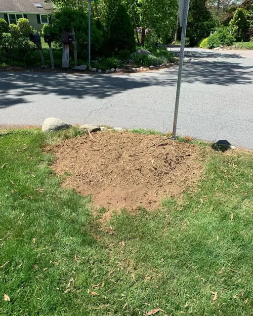Roadside area after the stump was ground and the grindings raked